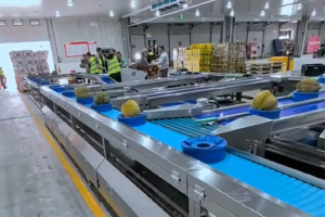 Unveiling the Power of Washdown Checkweighers: Essential for Food & Beverage Excellence