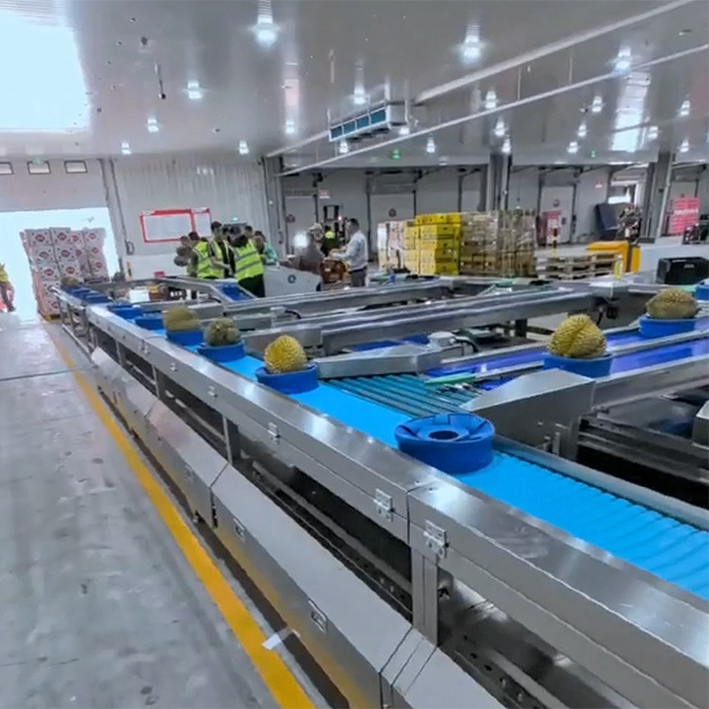 Unveiling the Power of Washdown Checkweighers: Essential for Food & Beverage Excellence