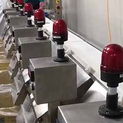 SameGram Checkweighers: Sorting Checkweighers Applications in the Seafood Industry