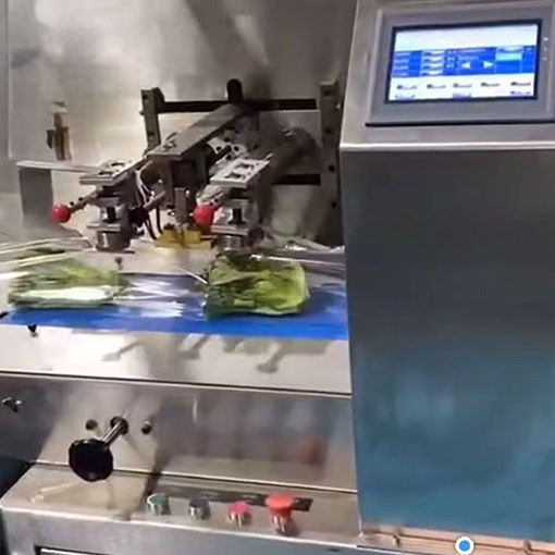 Weigh Price Labellers for Meat & Cheese Packaging: Efficient Solutions | SameGram