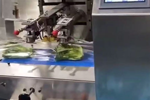 Weigh Price Labellers for Meat & Cheese Packaging: Efficient Solutions | SameGram