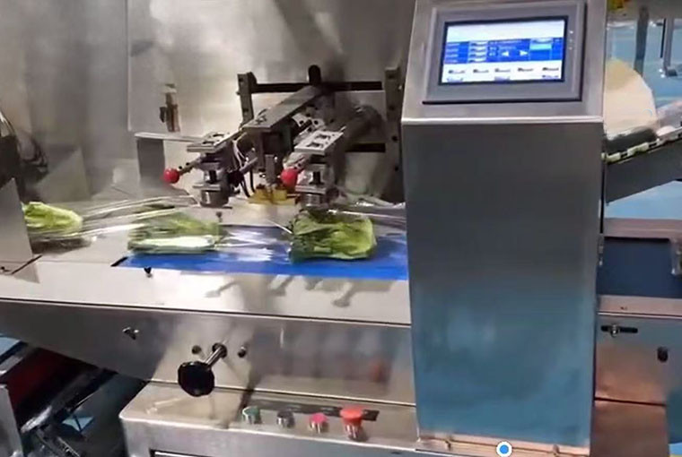 Automatic Weigh Labeler for Vegetable