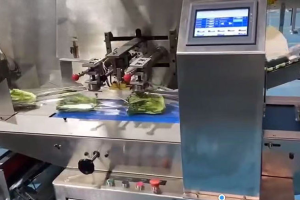 Weigh Price Labellers for Meat & Cheese Packaging: Efficient Solutions | SameGram