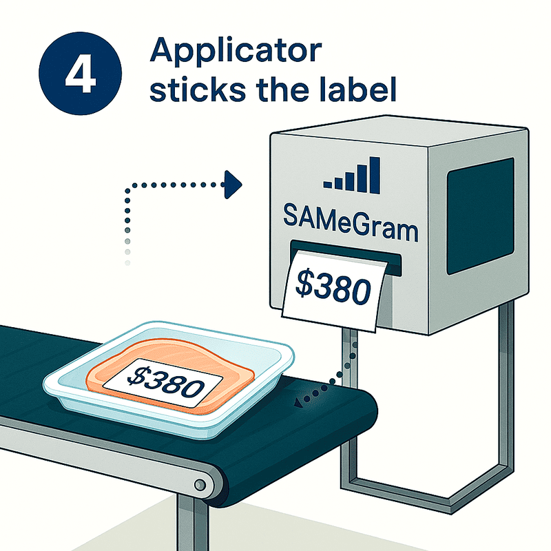 Weigh Price Labeller Workflow, Applicator Sticks the Label