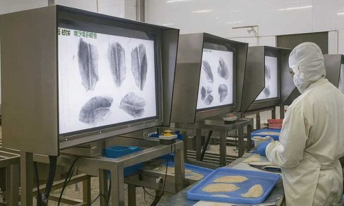How Japan's Seafood Processing Industry Achieved "Zero Fish Bone Residue" with Fish Bone X-ray Inspection System