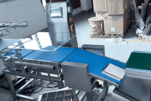 Custom Inline Checkweigher Integration for Conveyors | SameGram
