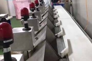 SameGram Checkweighers: Sorting Checkweighers Applications in the Seafood Industry