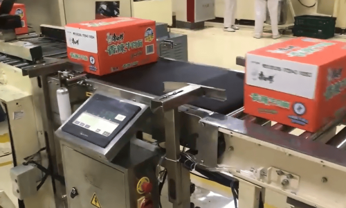 Instant Noodle Checkweigher Case: Production Efficiency Guide