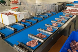 Guide to Semi-Automatic Combination Weighers | SameGram