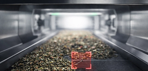 Bulk Goods X-ray Inspection Systems applied in Tea processing line