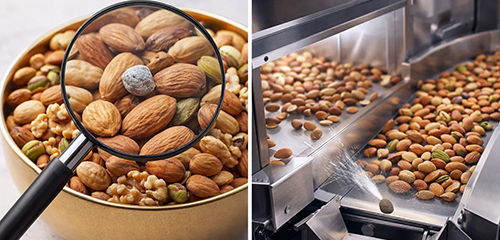 Bulk Goods X-ray Inspection Systems applied in Nut Processing
