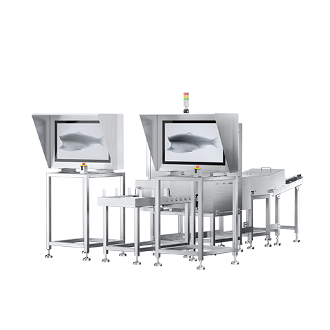 Fish Bone X-ray Inspection System XSS-F-4610