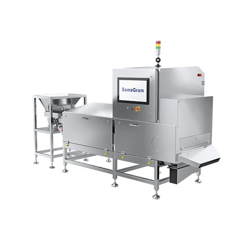 Bulk Goods X-ray Inspection Systems XSS-S Series