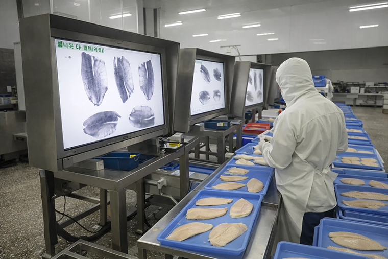 Fish Bone X-ray Inspection System for Detecting Seafood