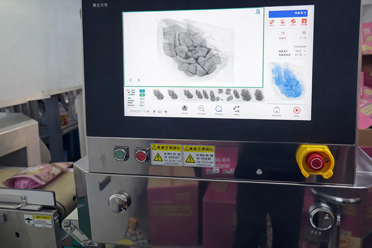 Standard X-ray Inspection System for Inspecting Vacuum-Packed Roast Duck