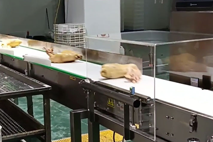 Diverter Arm Rejection for Checkweigher