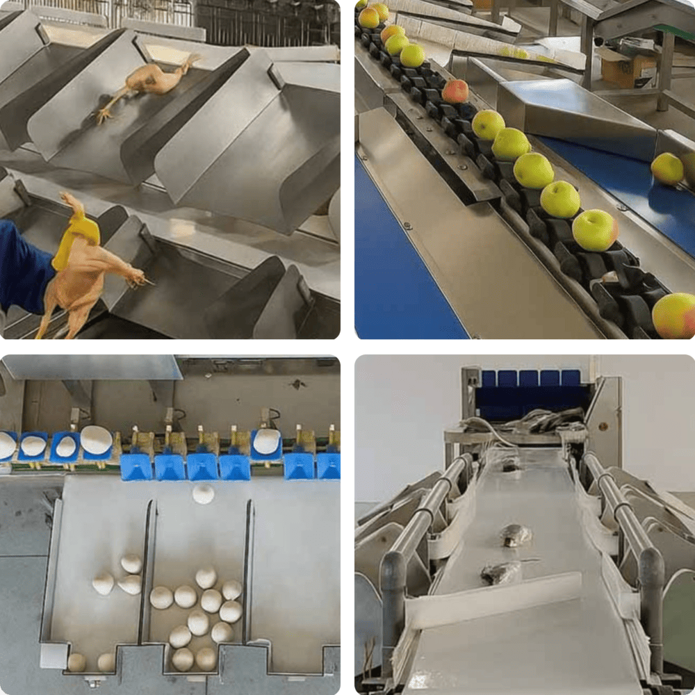 SameGram Weight Sorting Applications