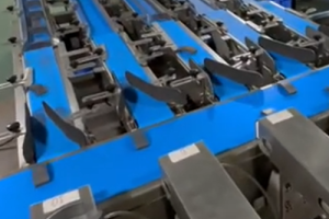 食品加工用高精度称重分拣机 | SameGram