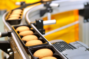 Bakery Metal Detector Sensitivity: How to Overcome Flour Dust Issues