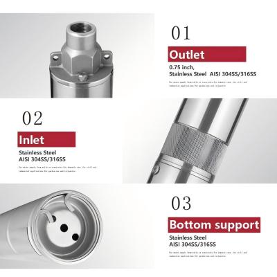 S3HS-3 Inch Solar-Powered Helical Rotor Pump with MPPT Controller - Tailored OEM/ODM Manufacturing