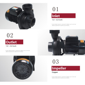 ZSHF-ADHY AC/DC Hybrid Solar Pump Centrigugal Surface Pump Solar Water Pump with MPPT Controller for Irrigation