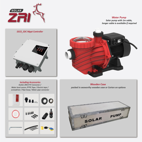 SSSP DC Solar-Powered Swimming Pool Pump for Water Treatment with MPPT Controller