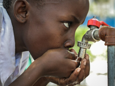 Solar Energy in Greenhouses: Sustainable Irrigation Technologies on the Rise