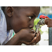 Solar Energy in Greenhouses: Sustainable Irrigation Technologies on the Rise