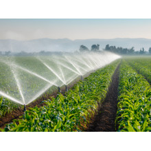 Revolutionary Savings: Solar Water Pumps for a Sustainable Future