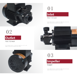 SSQB Solar-Powered Peripheral Surface Pump Solar Water Pump with MPPT Controller for Drinking Water