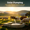 Solar Pumping for Livestock and Rural Water Access: A Practical Guide