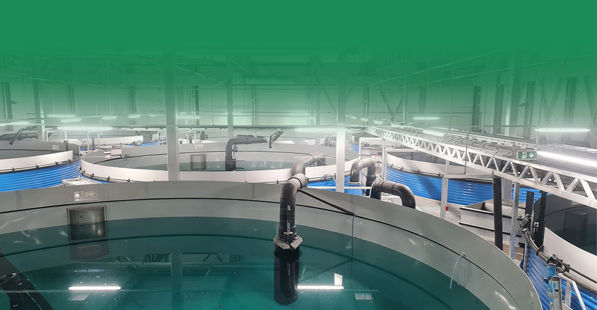 Aquaculture Tanks