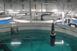 Aperçu d'Aqua Nor 2025 : Le rôle des soudeurs de feuilles plastiques dans l'aquaculture moderne