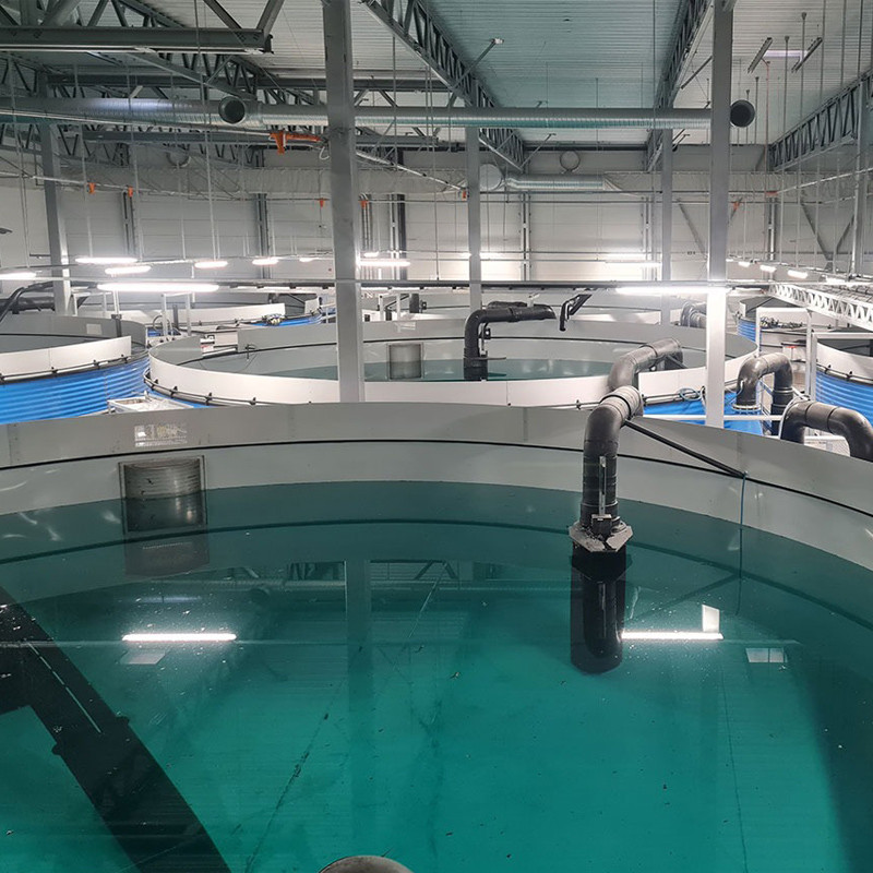 Aqua Nor 2025 Preview: The Role of Plastic Sheet Welders in Modern Aquaculture