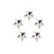 Five-pointed star Fancy Glass Rhinestones |clear glass rhinestones | glass rhinestones | high quality glass rhinestones |