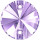 Purple Purple