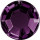 Grape purple Grape purple