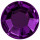Dark Purple Dark Purple
