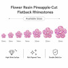 Wholesale Flower Pineapple Resin Rhinestones | Flatback | Apparel & Accessories