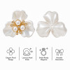 Wholesale Pearl Flower Rhinestones| Apparel & Accessories |Z002