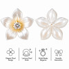 Wholesale Pearl Flower Rhinestones| Apparel & Accessories |Z012