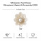 Wholesale Pearl Flower Rhinestones| Apparel & Accessories |Z020