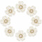 Wholesale Five-Petal Blossom Flatback Rhinestones with Pearl Center and Crystal Halo | Apparel & Accessories |Z026