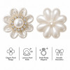 Wholesale Pearl Flower Rhinestones| Apparel & Accessories |Z038