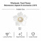 Wholesale Pearl Flower Rhinestones| Apparel & Accessories |Z072