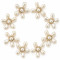Wholesale Pearl Flower Rhinestones| Apparel & Accessories |Z079