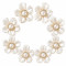 Wholesale Pearl Flower Rhinestones| Apparel & Accessories |Z081