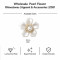 Wholesale Pearl Flower Rhinestones| Apparel & Accessories |Z081