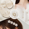 Wholesale Pearl Flower Rhinestones| Apparel & Accessories |Z081