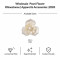 Wholesale Pearl Flower Rhinestones| Apparel & Accessories |Z083